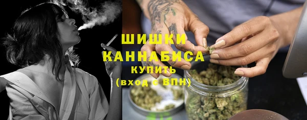сатива Покровск