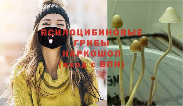 MESCALINE Алзамай