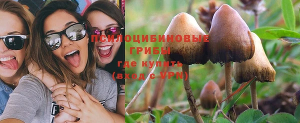 сатива Покровск