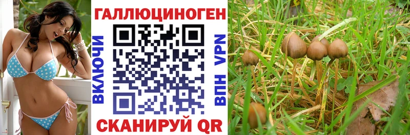 Галлюциногенные грибы ЛСД  даркнет сайт  Красноуфимск 