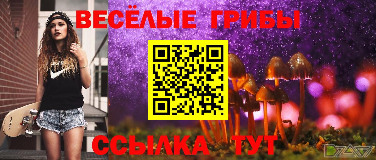 Галлюциногенные грибы MAGIC MUSHROOMS  где можно купить   Вход с VPN  Красноуфимск  Галлюциногенные грибы мухоморы 